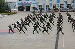 軍體拳開始