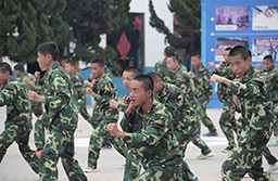 軍體拳開始