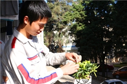 綠色環保，男生也愛小盆栽